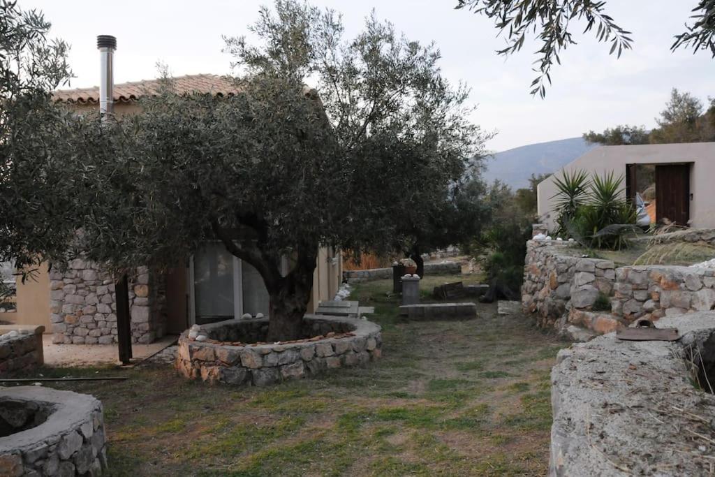 Appartamento Melolia Estate Thebes Camera foto